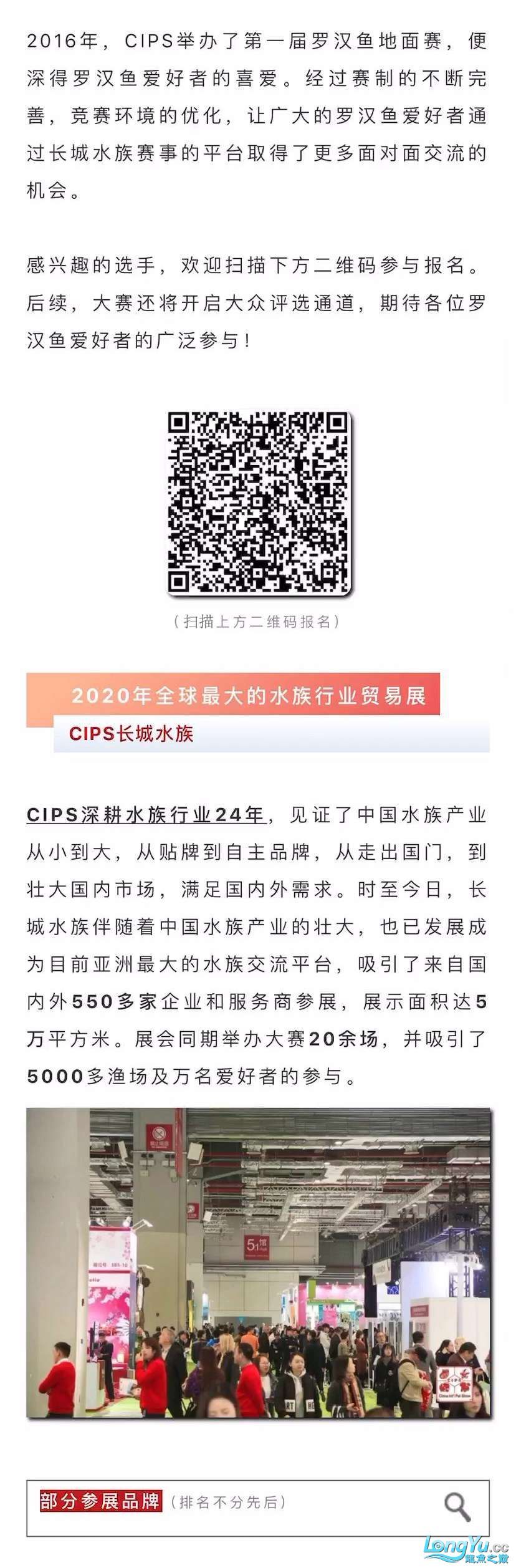 本溪觀賞魚市場深耕行業(yè)24年全球水族行業(yè)的重要貿(mào)易平臺(tái)—CIPS長城水族