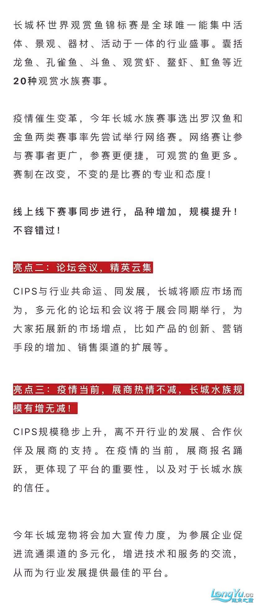 本溪觀賞魚市場深耕行業(yè)24年全球水族行業(yè)的重要貿(mào)易平臺(tái)—CIPS長城水族 觀賞魚市場（混養(yǎng)魚） 第4張