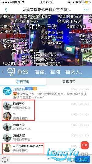 龍巔直播北京和興龍魚貿(mào)易前10名中獎(jiǎng)情況 和興紅龍 第16張