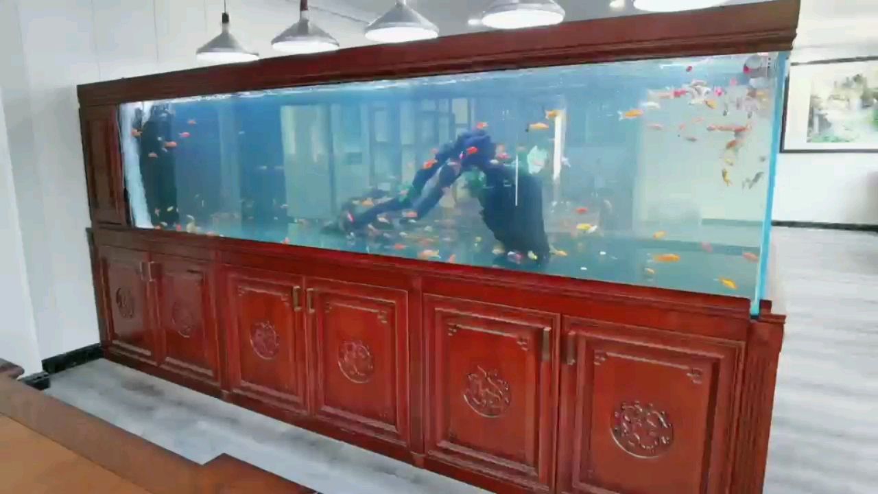 無錫第一缸 紅尾平克魚