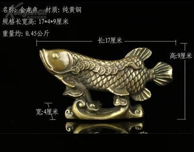 紅龍魚苗常見疾病預(yù)防（紅龍魚苗在養(yǎng)殖中容易受到哪些疾病的侵襲？） 水族問答