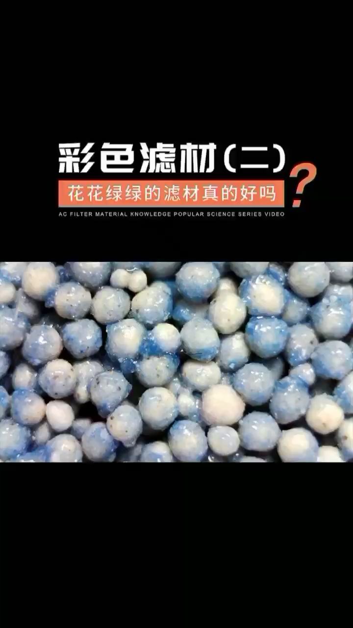 看看染色濾材放大后的變化 泰龐海鰱魚 第2張