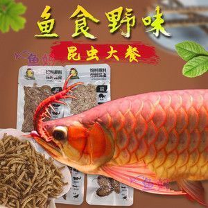 紅龍魚(yú)吃蜈蚣有利于發(fā)色嗎（紅龍魚(yú)吃蜈蚣有助于發(fā)色嗎） 龍魚(yú)百科 第1張