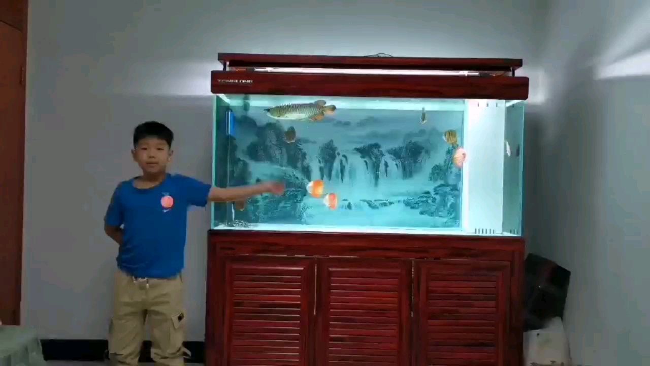 瀘州水族館古典請(qǐng)欣賞 水族用品