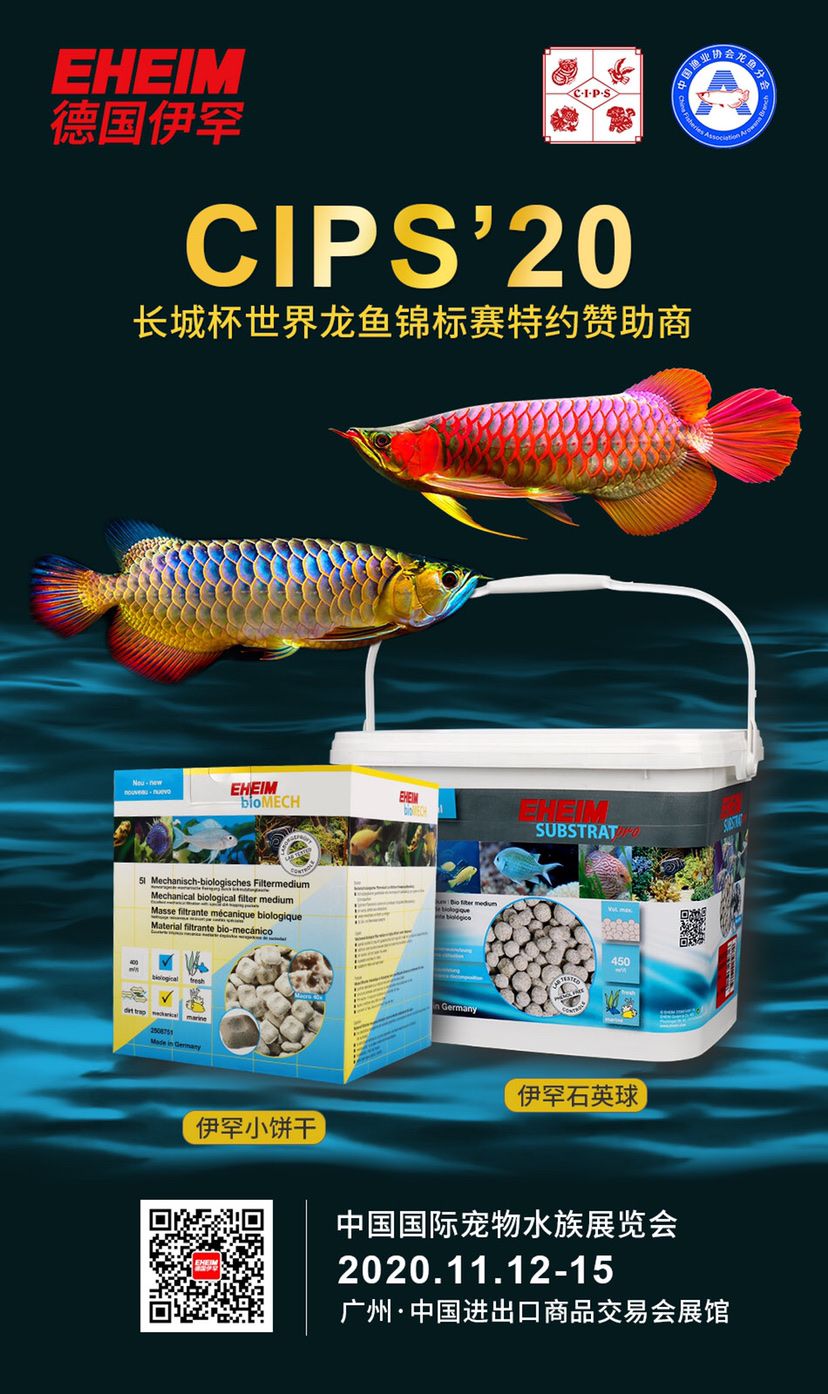 阿里水族館2022長(zhǎng)城杯世界龍魚(yú)錦標(biāo)賽簡(jiǎn)訊