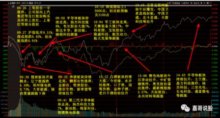 金龍魚行情走勢（12月11日15:00，金龍魚漲停）