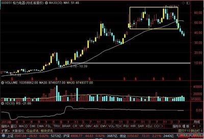 金龍魚行情走勢（12月11日15:00，金龍魚漲停）