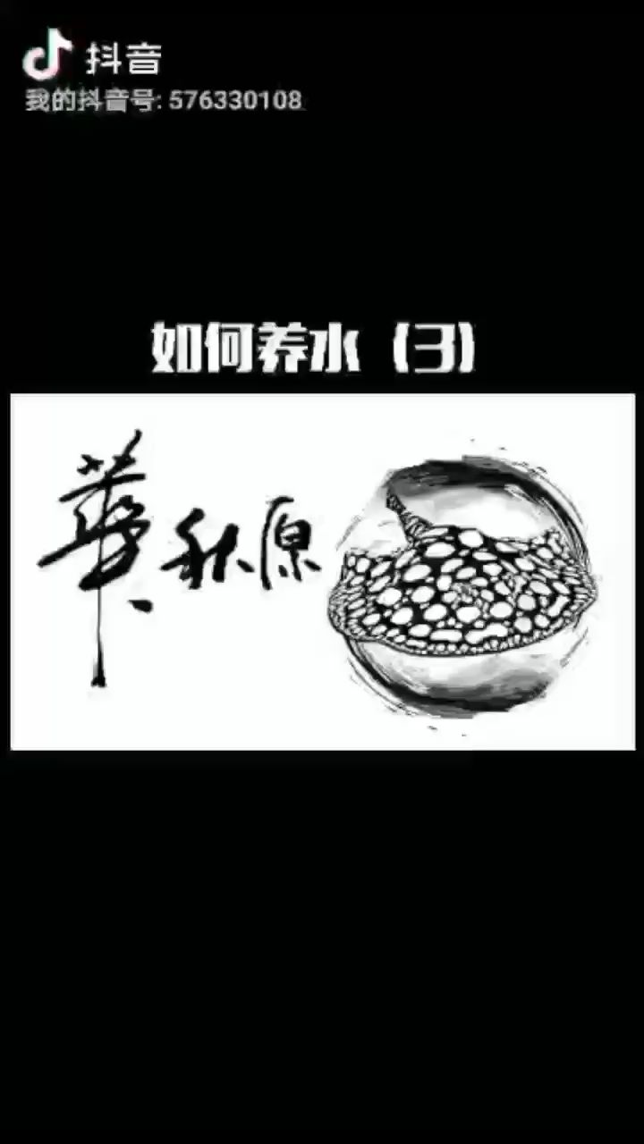 西雙版納傣族自治州觀賞魚市場(chǎng)過濾材料是養(yǎng)水養(yǎng)魚的核心內(nèi)容