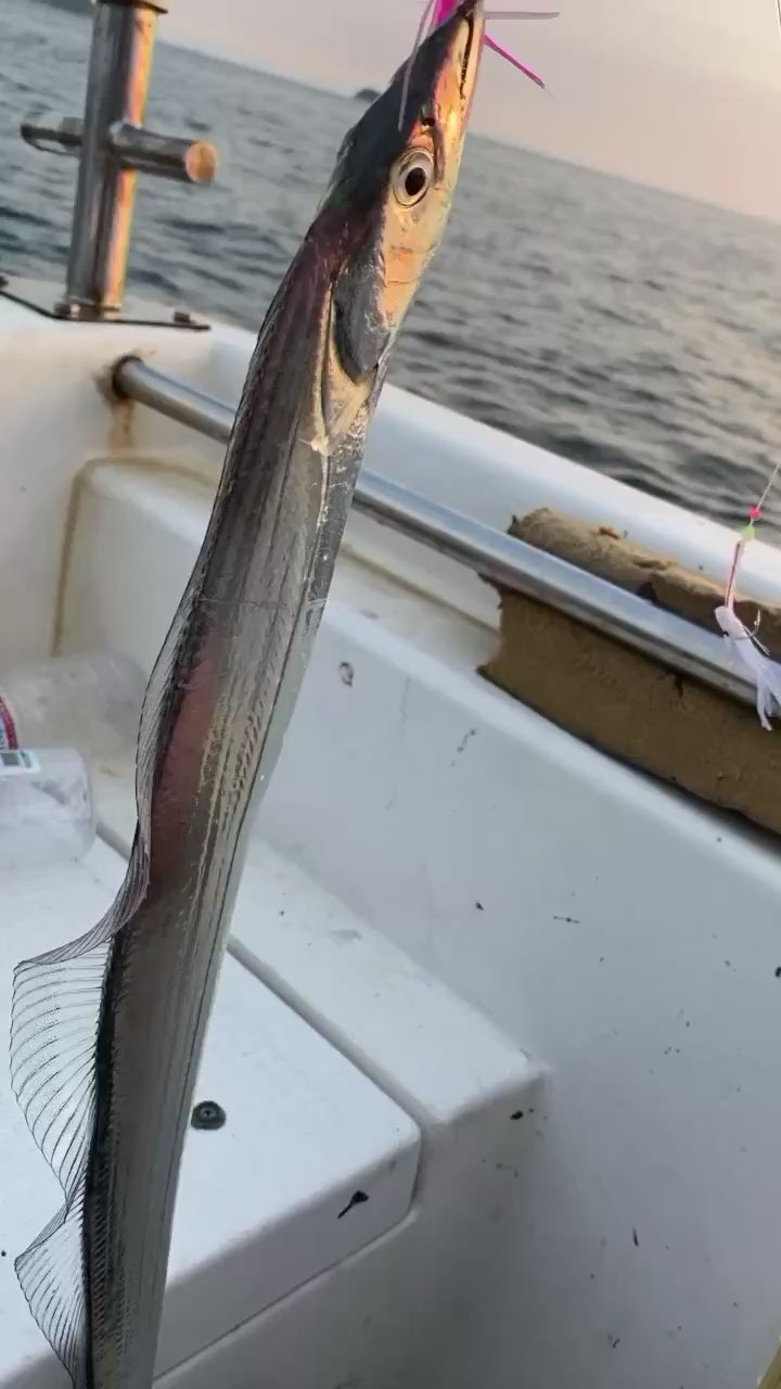 刀魚要到島上釣 垂釣樂園 第2張