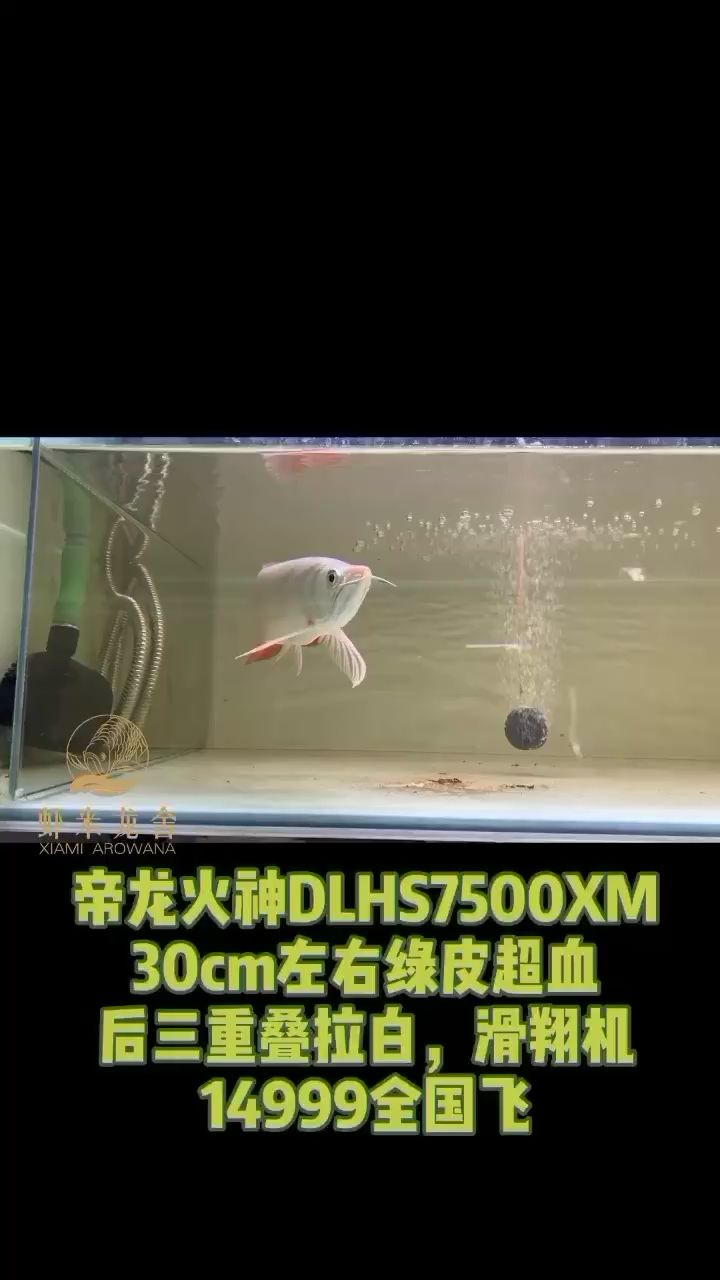 一尾好魚