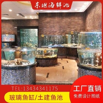 紅龍魚鑒別方法（如何判斷紅龍魚是否健康？） 水族問答