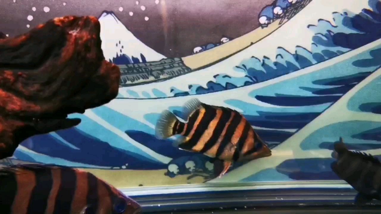 達(dá)州水族館死性不改