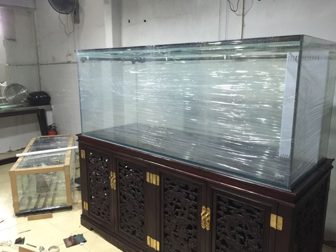 邯鄲觀賞魚市場(chǎng)分下一下純手工制作出品 觀賞魚市場(chǎng)（混養(yǎng)魚） 第6張