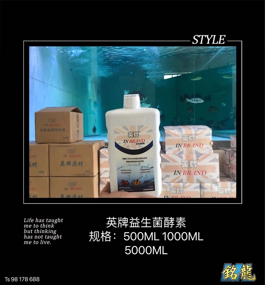 遵義觀賞魚市場英牌明星產(chǎn)品合集[勝利 觀賞魚市場（混養(yǎng)魚） 第3張