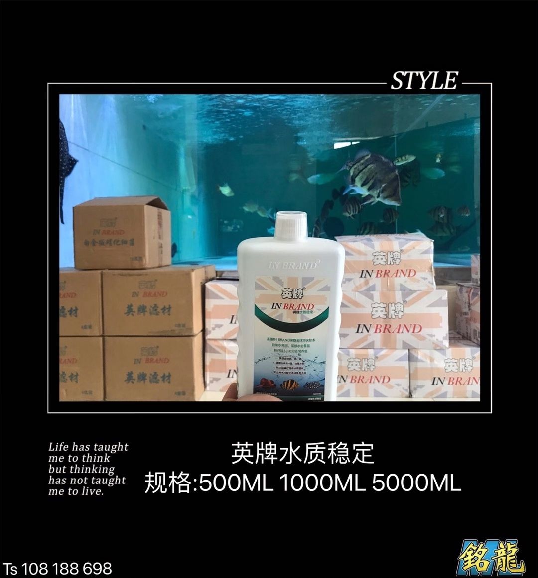 遵義觀賞魚市場英牌明星產(chǎn)品合集[勝利 觀賞魚市場（混養(yǎng)魚） 第4張