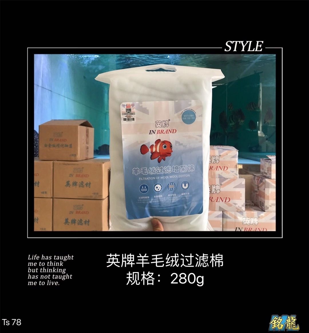 遵義觀賞魚市場英牌明星產(chǎn)品合集[勝利 觀賞魚市場（混養(yǎng)魚） 第6張