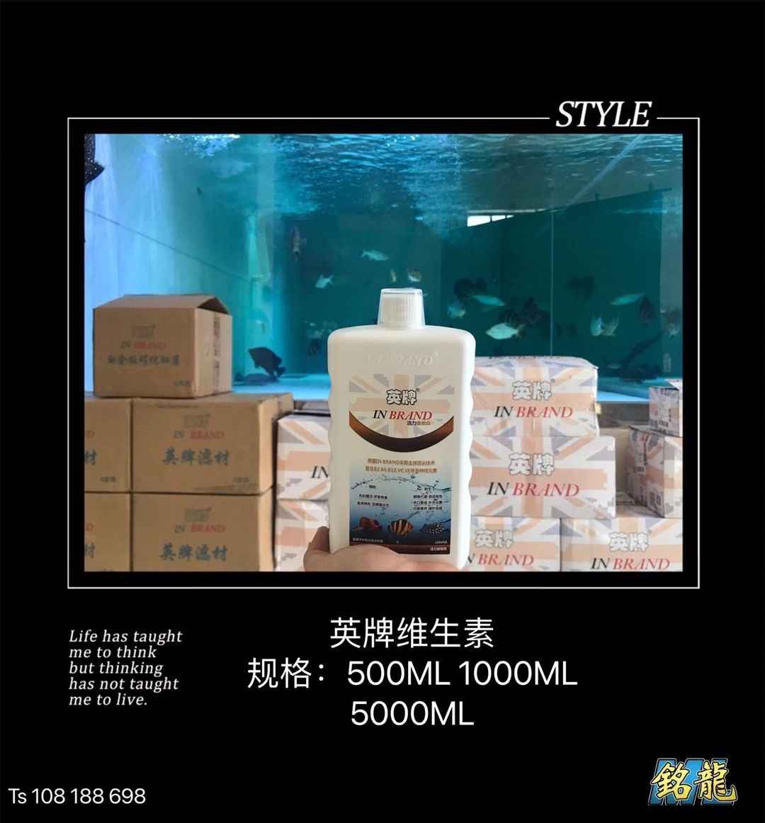 遵義觀賞魚市場英牌明星產(chǎn)品合集[勝利 觀賞魚市場（混養(yǎng)魚） 第5張