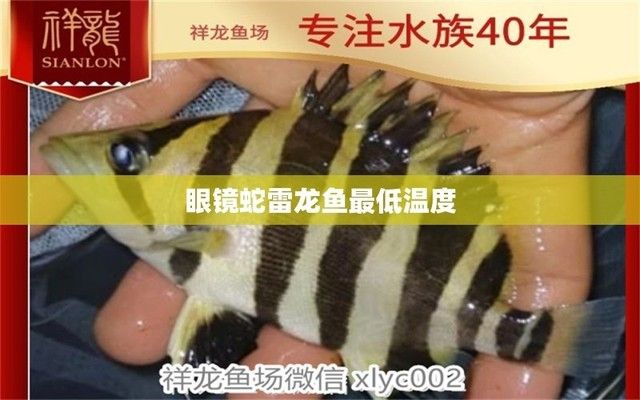 黃金眼鏡雷龍魚的水溫（黃金眼鏡蛇雷龍魚水溫調(diào)節(jié)技巧雷龍魚水溫調(diào)節(jié)技巧）