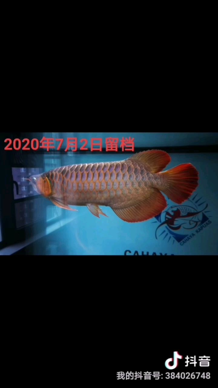 2022年7月留檔