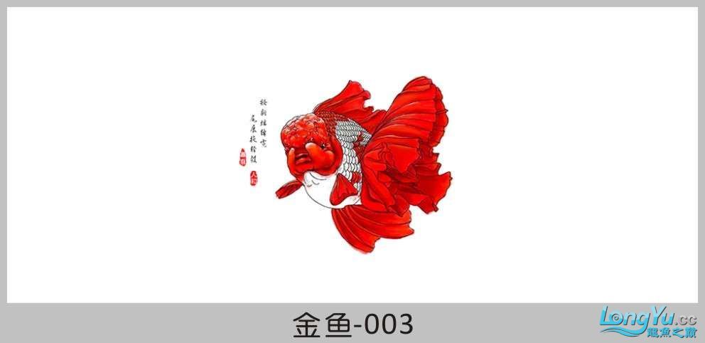 一組漂亮的金魚背景貼紙欣賞