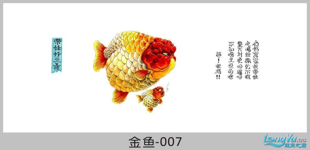 一組漂亮的金魚背景貼紙欣賞 其他益生菌 第7張