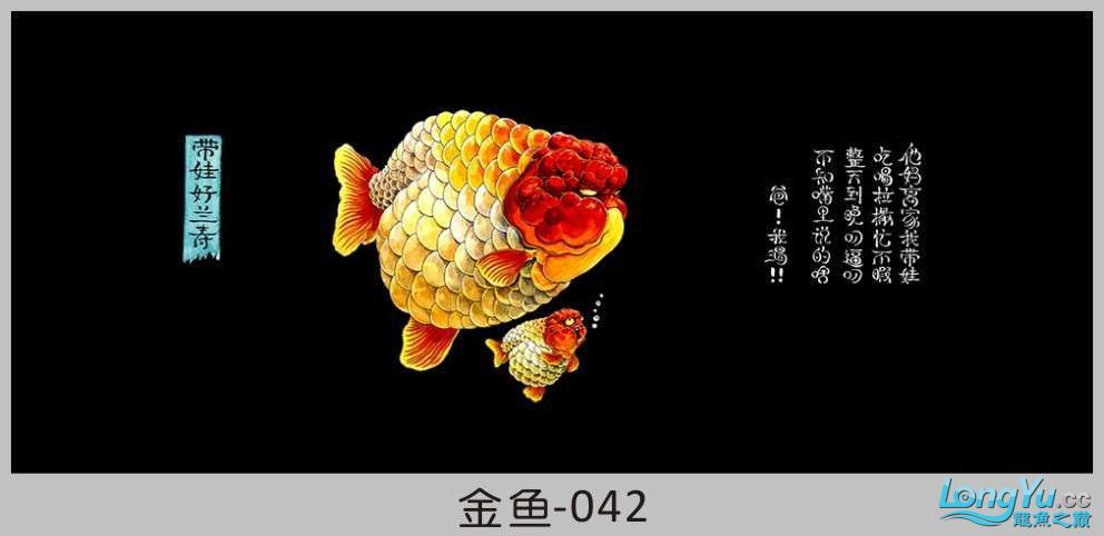 一組漂亮的金魚背景貼紙欣賞 其他益生菌 第42張