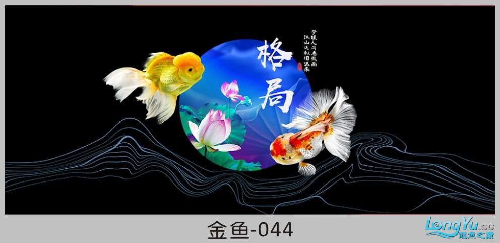 一組漂亮的金魚背景貼紙欣賞 其他益生菌 第44張