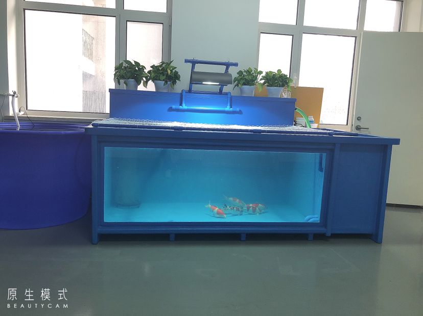 池州觀賞魚市場_艦隊 觀賞魚市場（混養(yǎng)魚） 第1張