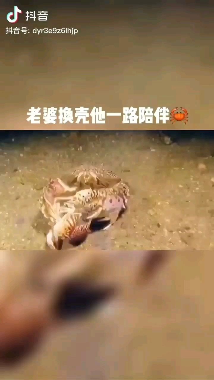 這絕對是真愛了對吧