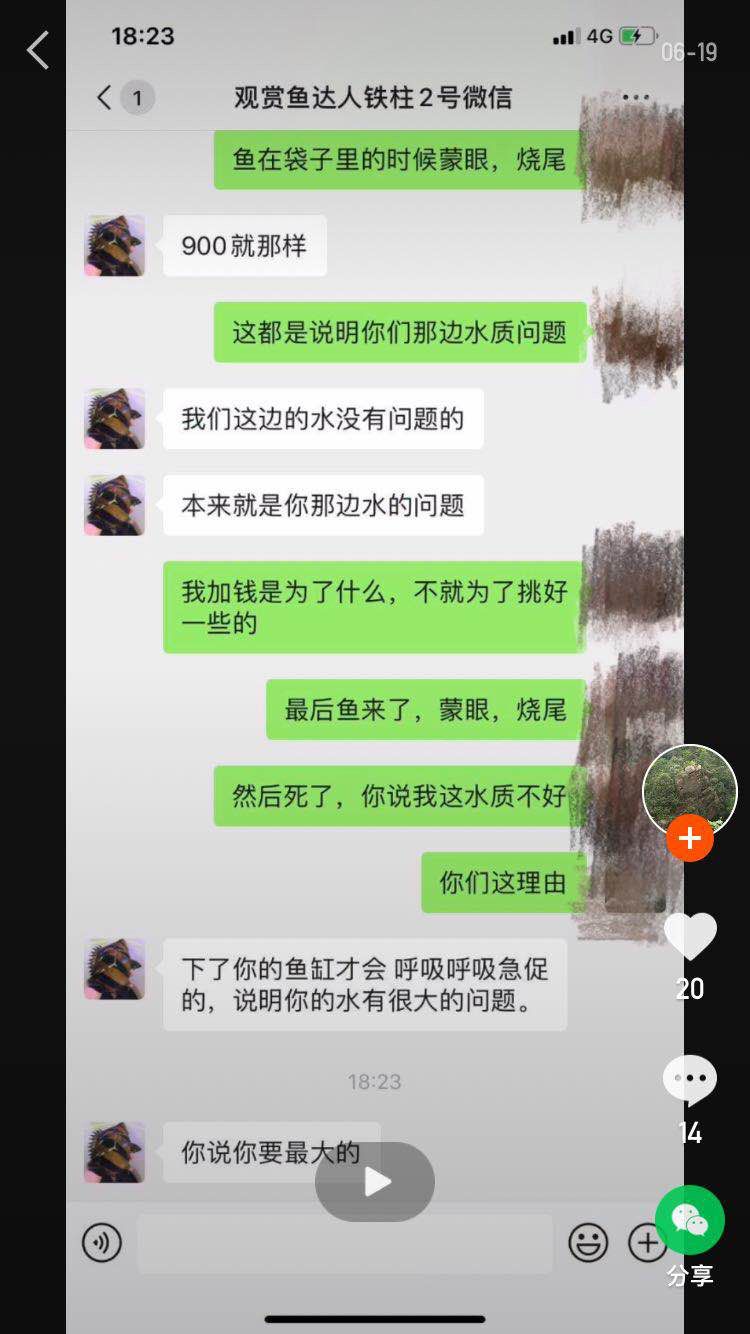 全網(wǎng)爆光還魚友們的個公道 杰西卡恐龍魚 第6張