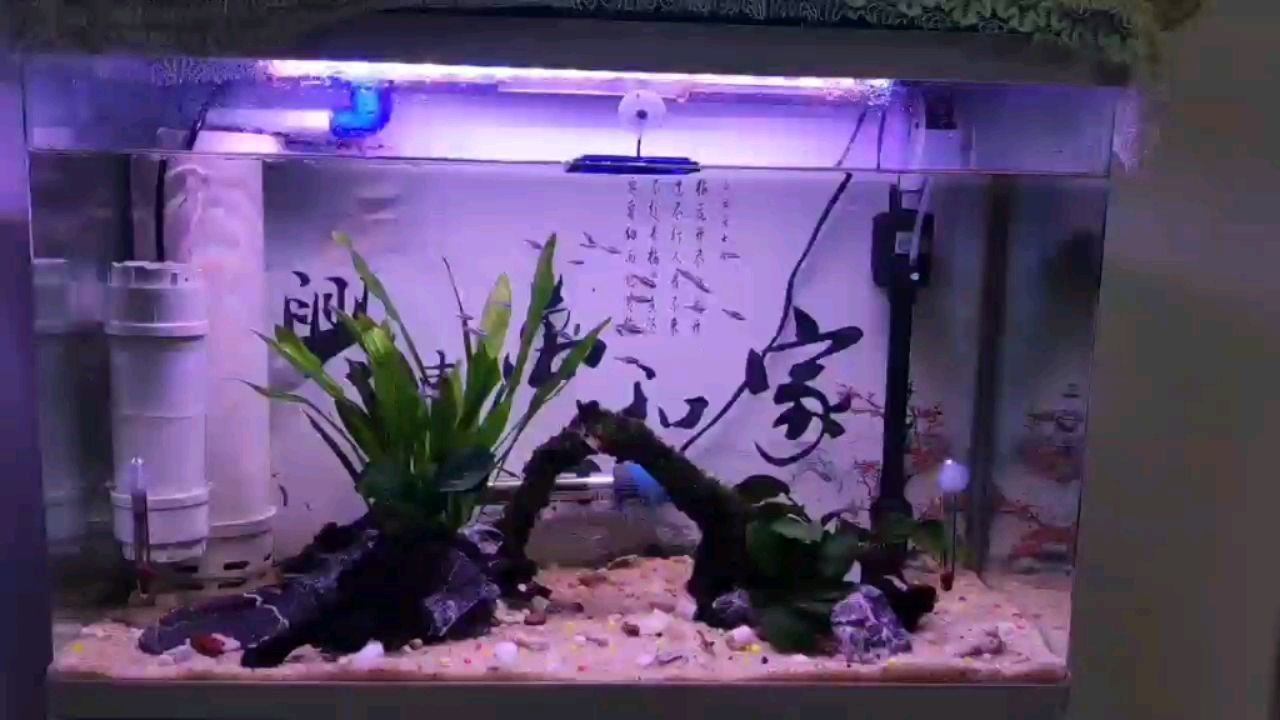 朔州水族館又添了15條魚