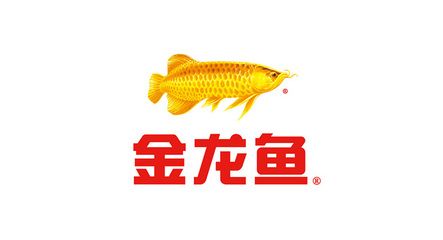 金龍魚圖案設(shè)計(jì)理念怎么寫的（金龍魚圖案設(shè)計(jì)理念） 龍魚百科 第3張