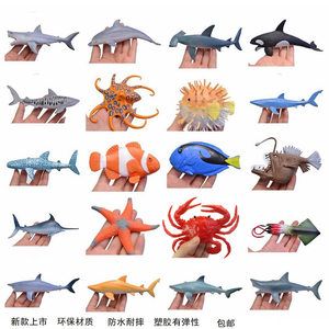 大佬幫我看看魚什么品種啊