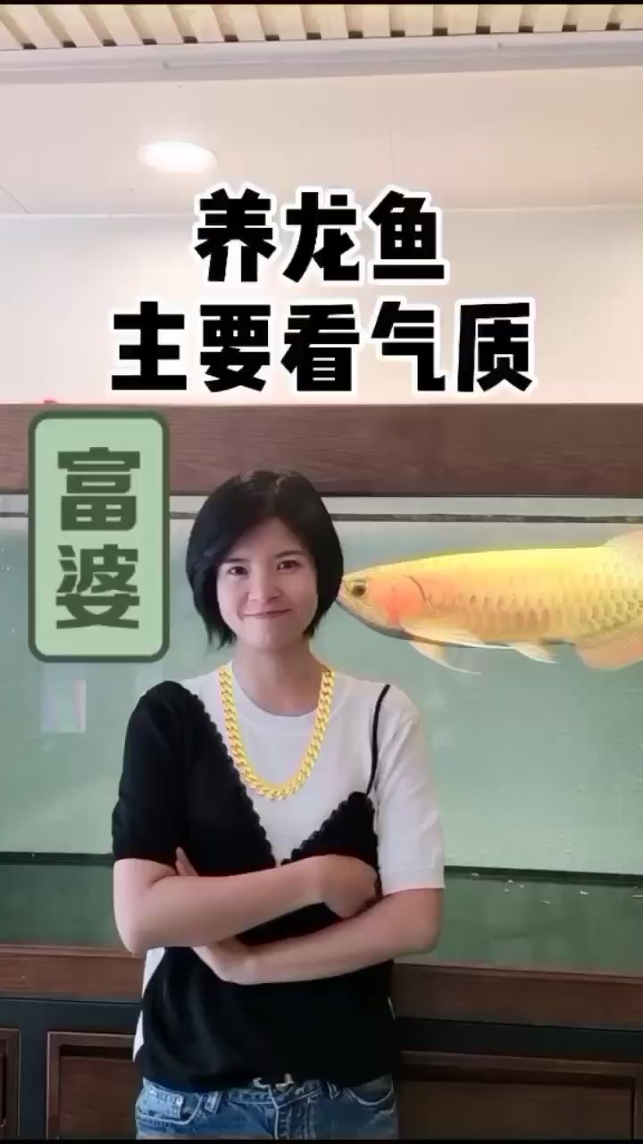 阿里觀賞魚市場富婆還不夠富