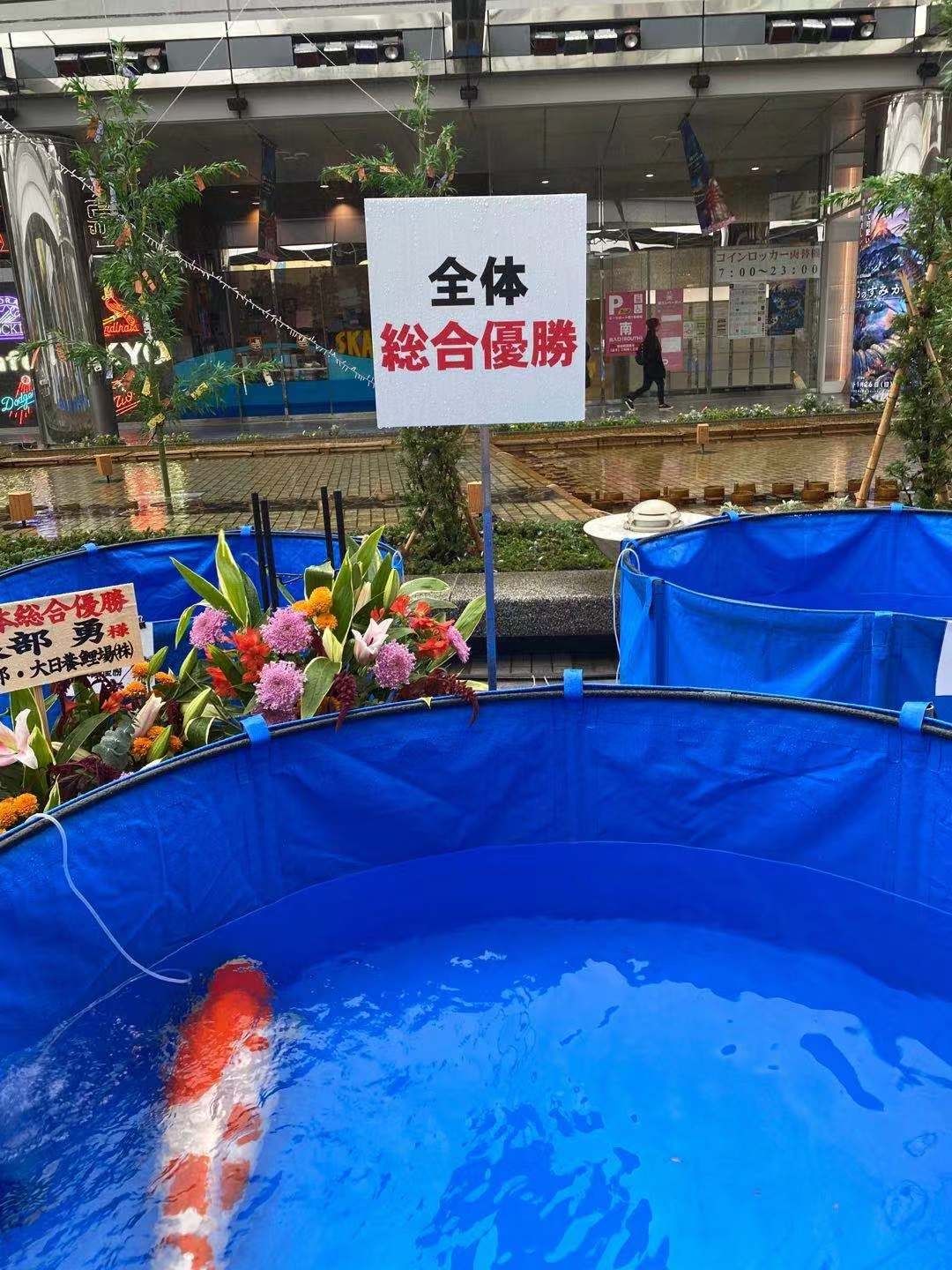 麗江水族館鱗友會全體綜合優(yōu)勝