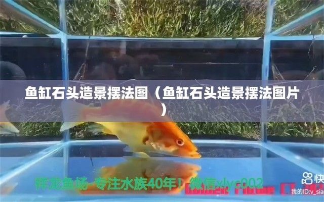 深圳市嘉尚品貿易有限公司（深圳嘉尚品貿易有限公司） 水族周邊 第2張