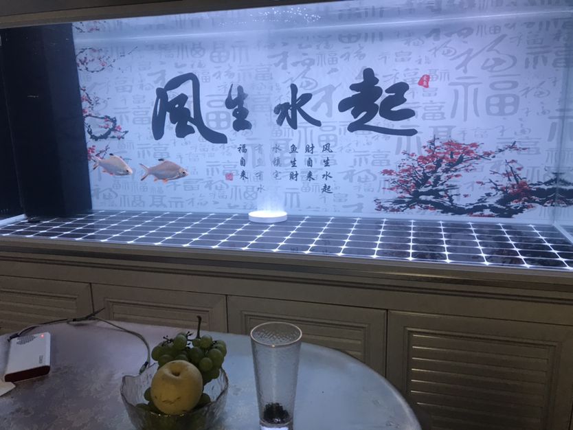 曲靖觀賞魚市場養(yǎng)水三天了