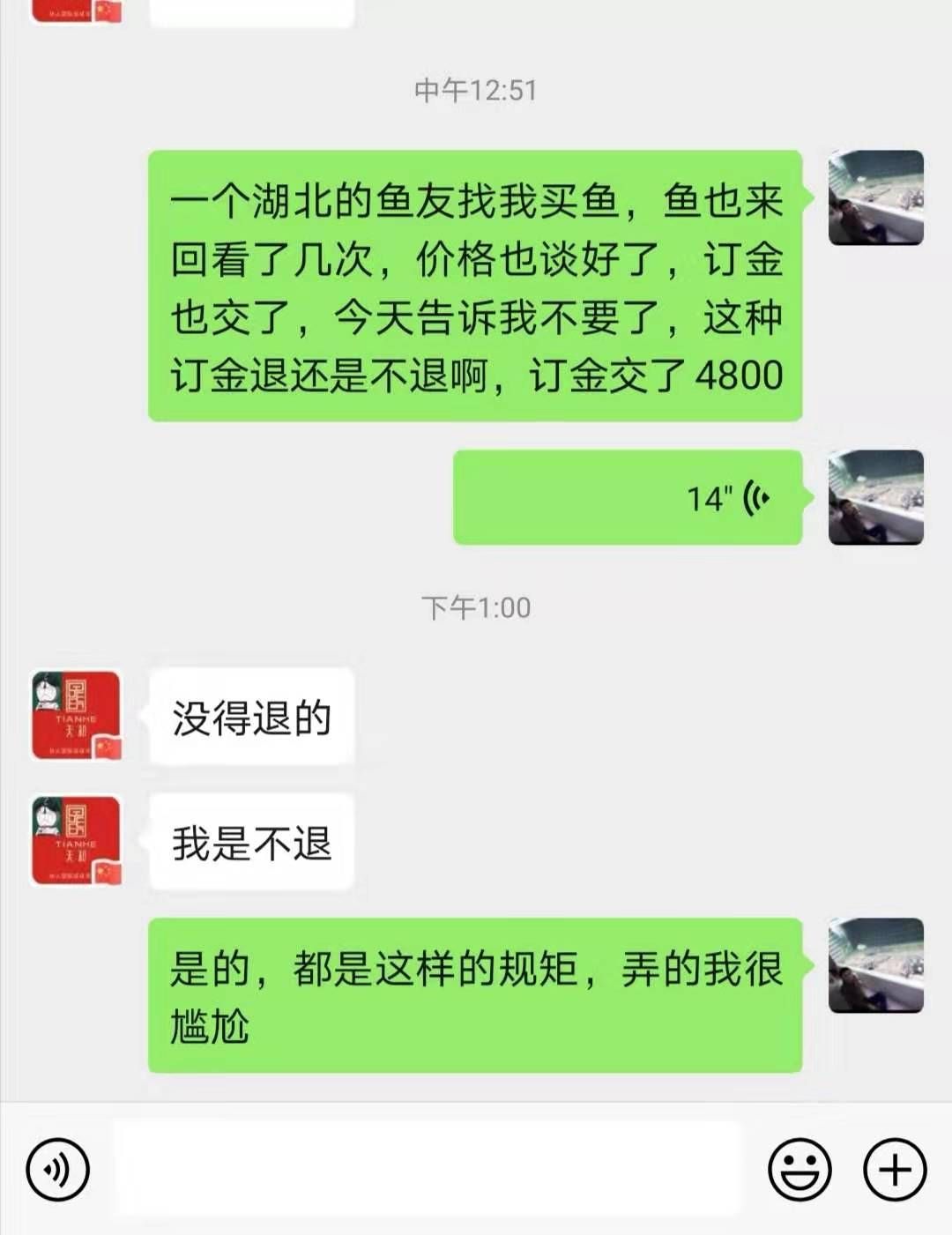 這就是所謂的天和的規(guī)矩買魚的魚友們看看