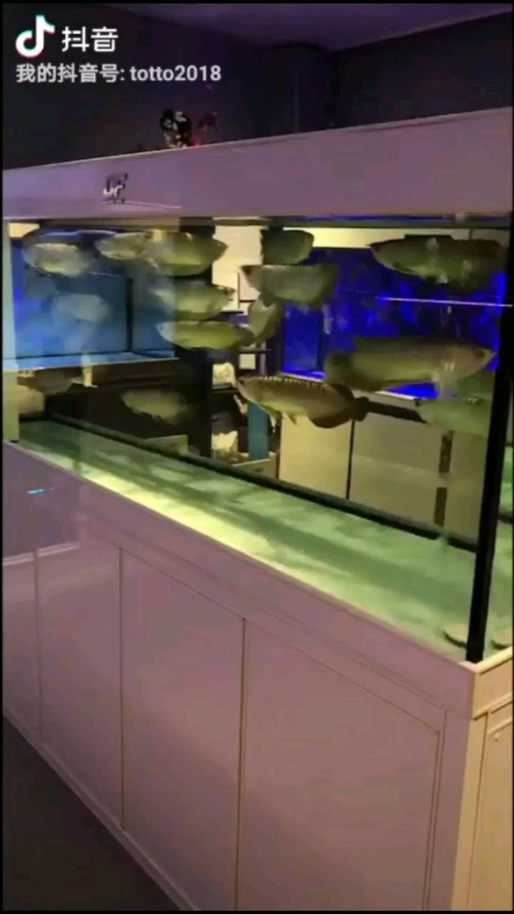 商丘水族館聽聽音樂看看魚