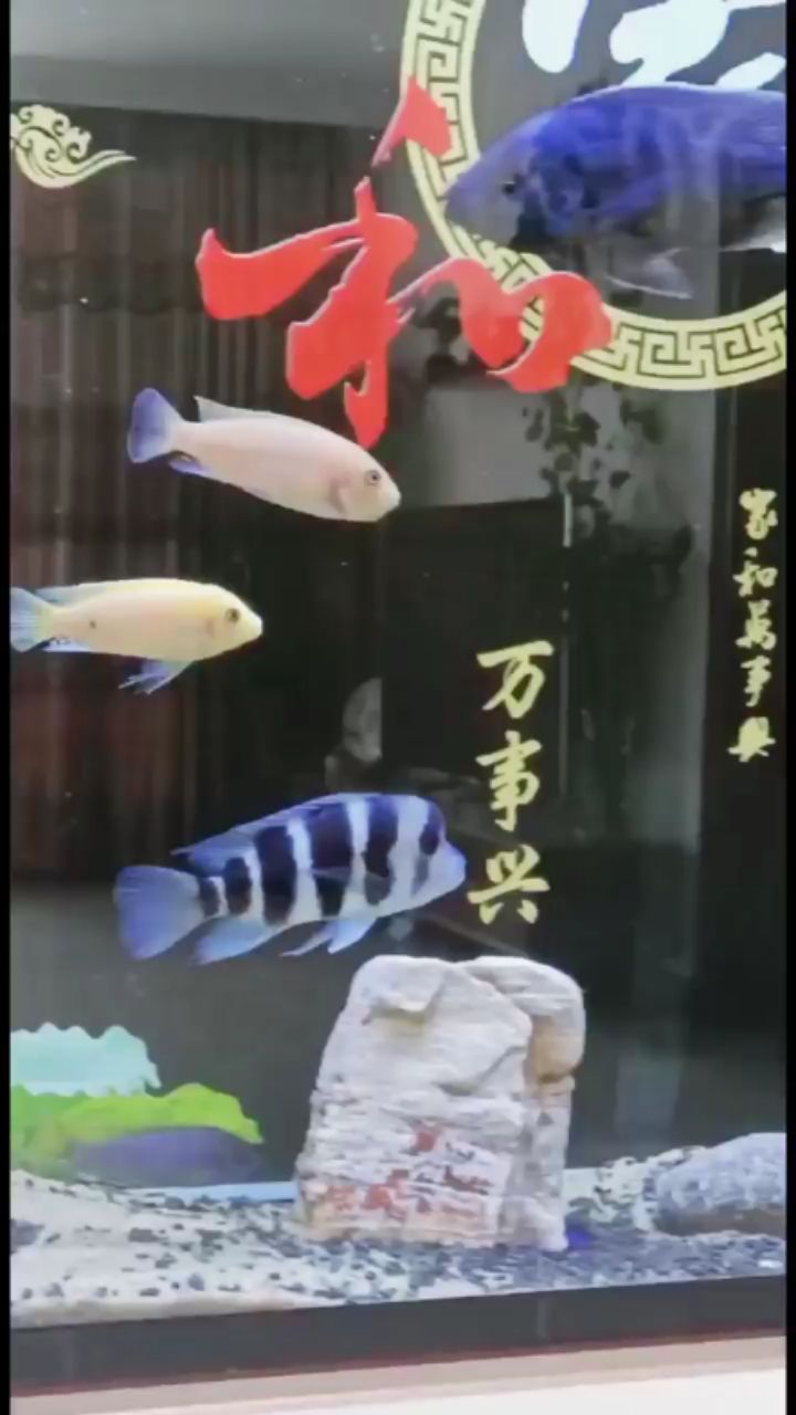 大三間鼠