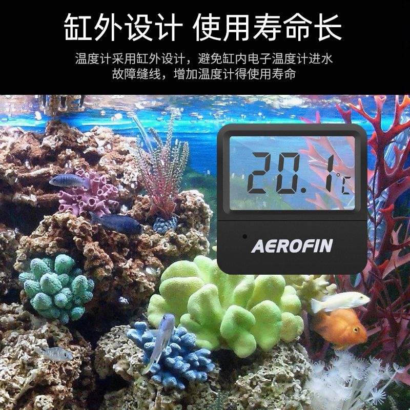 自貢觀賞魚市場(chǎng)高精確溫度計(jì)? 觀賞魚市場(chǎng)（混養(yǎng)魚） 第6張