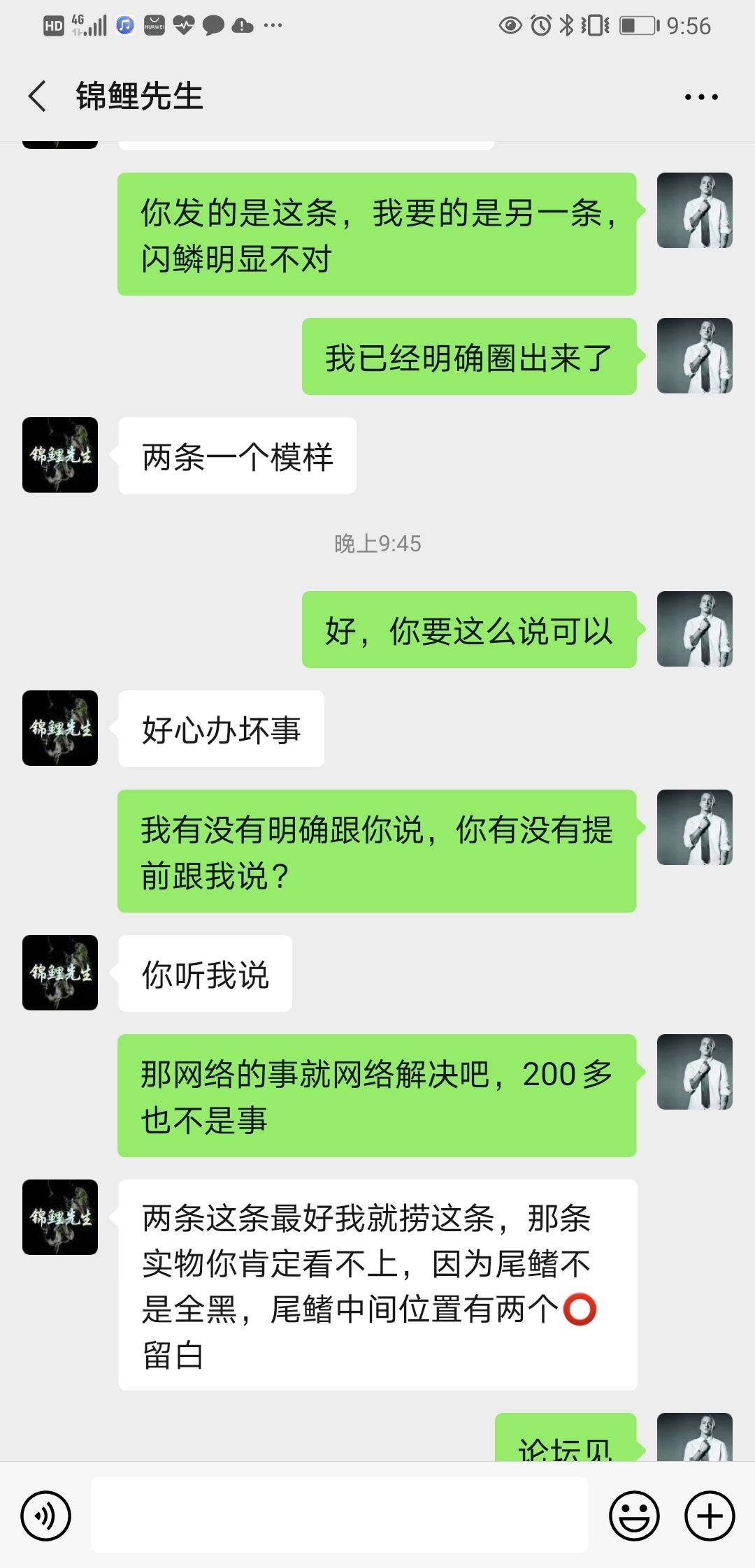 成都水族館遇到奸商一個(gè) 黃金斑馬魚 第5張