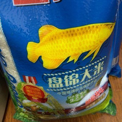 金龍魚15s（“金龍魚15s”可能是指金龍魚品牌下的一種特定產(chǎn)品） 龍魚百科 第5張