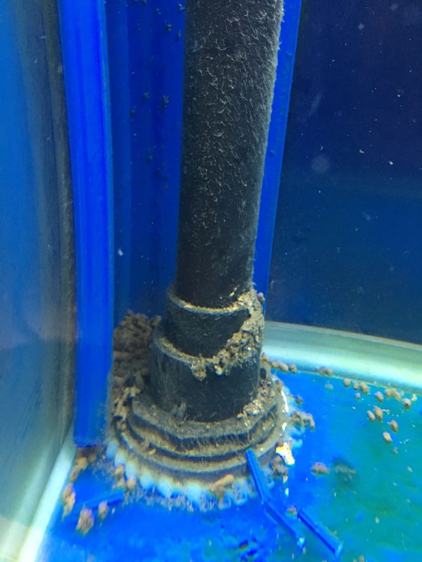 甘孜藏族自治州水族館底濾排糞管清洗和魚糞在魚缸底殘留怎么解決？圖一魚糞殘留在角落圖二水管出水如果方向調的話 龍魚專用燈 第4張