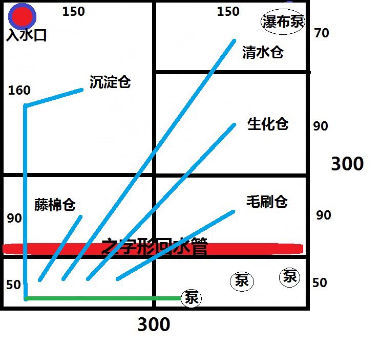 石家莊觀賞魚市場小池子求助田字型過濾池 觀賞魚市場（混養(yǎng)魚） 第4張