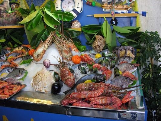 金龍魚釣魚餌料如何搭配（金龍魚釣魚餌料的搭配需要根據不同的環(huán)境條件來選擇合適的配方） 龍魚百科 第3張