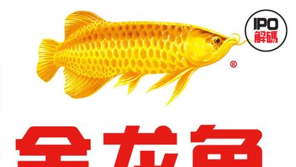 金龍魚(yú)港萬(wàn)里號(hào)店電話（金龍魚(yú)港萬(wàn)里號(hào)店） 龍魚(yú)百科