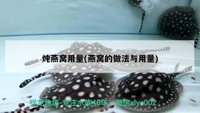 金龍魚50公分價格表（50公分的金龍魚價格因品種、品相和養(yǎng)殖年限等因素而異） 龍魚百科 第2張