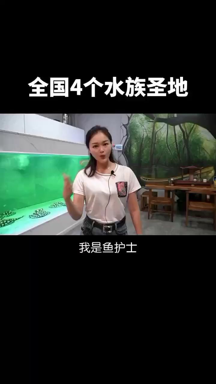 水族勝地 印尼小紅龍 第1張