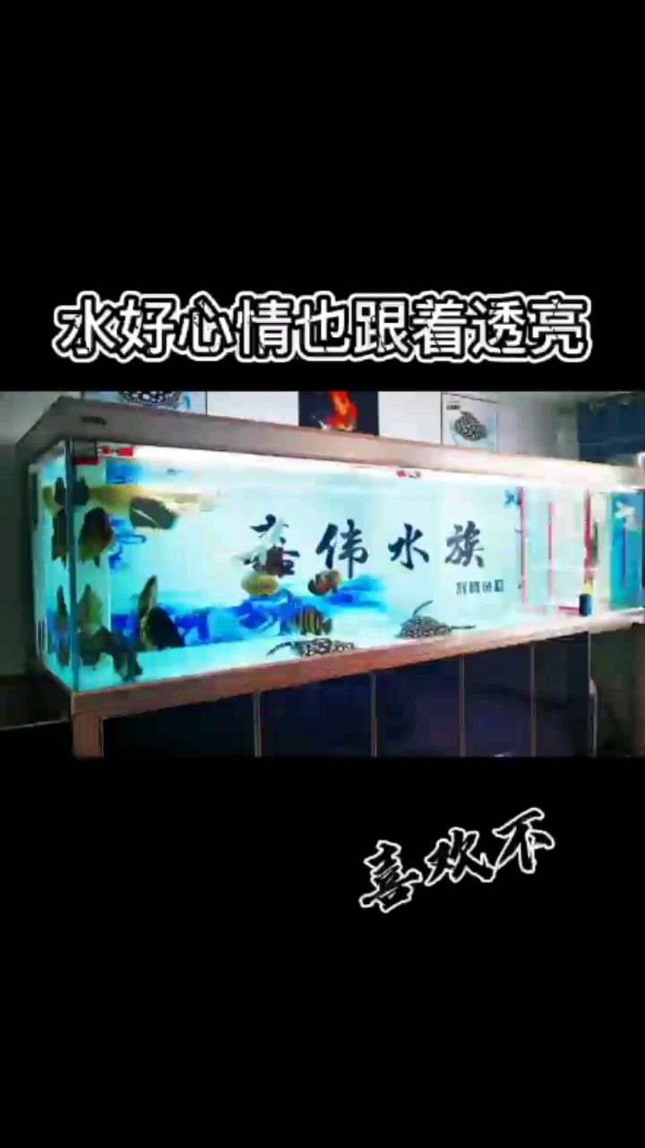 濰坊水族館水好心情好